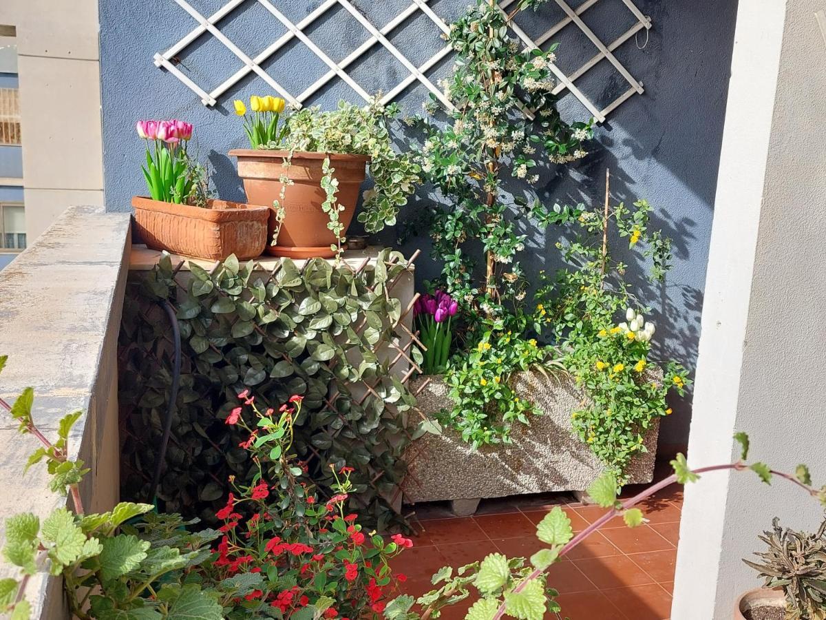 Bellavista Apartment カリアリ エクステリア 写真
