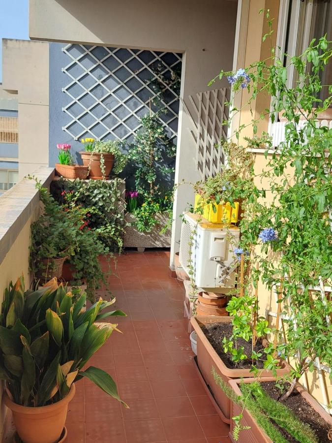 Bellavista Apartment カリアリ エクステリア 写真